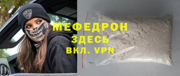 индика Ельня