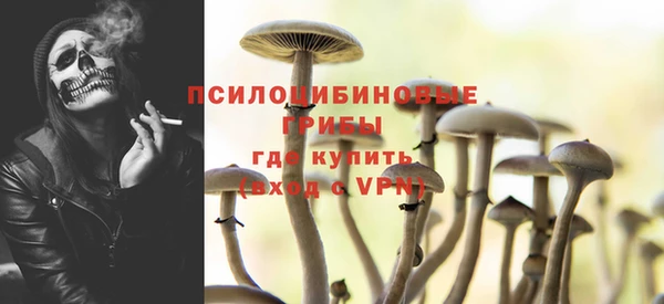 ешки Алексеевка