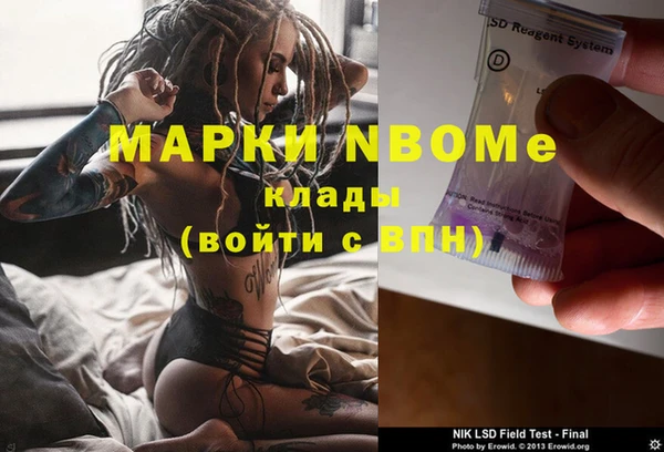 ГАЛЛЮЦИНОГЕННЫЕ ГРИБЫ Алзамай